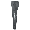 Тренувальні штани SELECT Monaco v24 training pants regular fit Grey